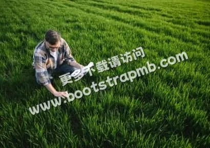 探索足球的魅力 - 世界杯投注haowei