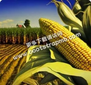 以专业精神，服务足球爱好者 - 世界杯投注haowei