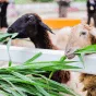 搜索 - 世界杯投注haowei